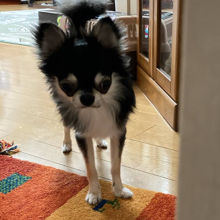 18984c7b 786f 458b 8e63 bd64350907bd 1622950388566