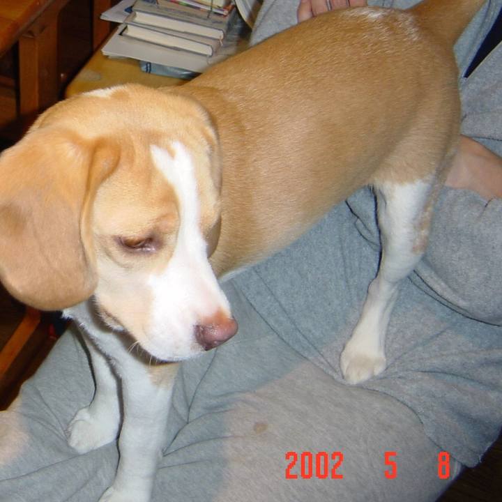 18986aef 87ff 4f82 af70 5602f1cb2155 1557392898184