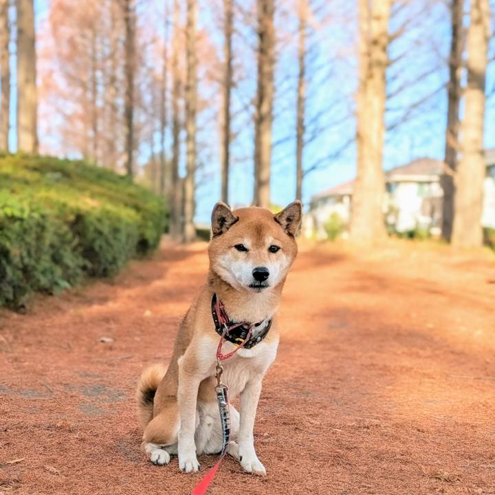 189876d3 dc27 4bcd 95a9 cf81f8ae3038 1702805020478