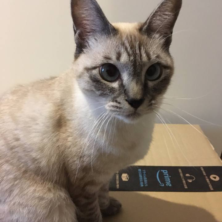 18987b81 f5e4 4432 967c 3a6145d583c1 1573792478391