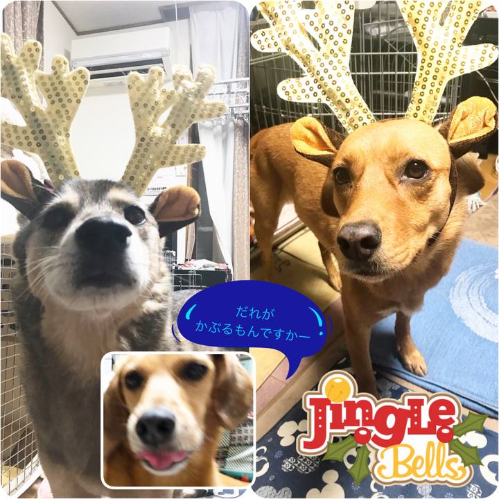 1898af91 2ed8 4475 9b2e 587fa1e888b9 1545664507581