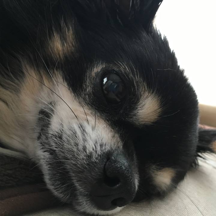 1898c335 2625 4589 b304 257f491ef098 1510106458348