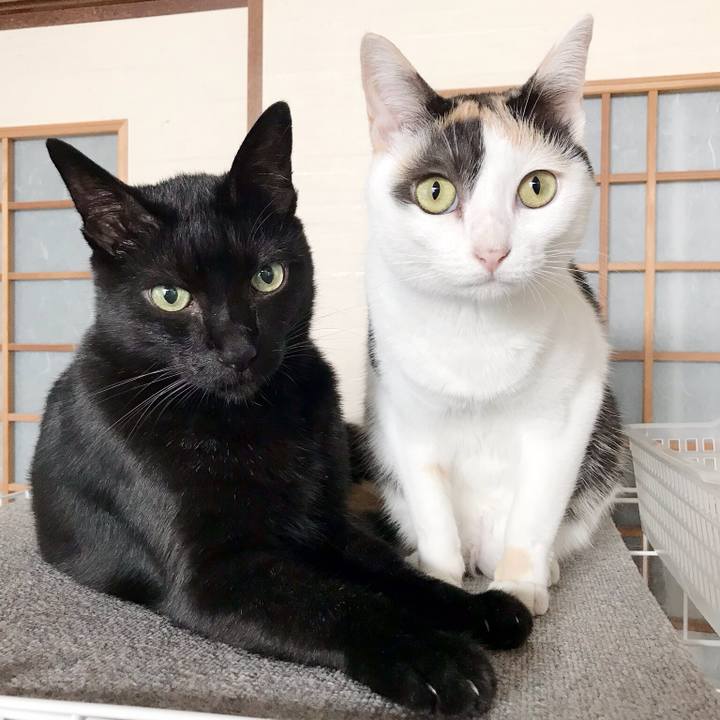 1899024b 533b 4d3e a252 ea1a3f1af61a 1536285619998