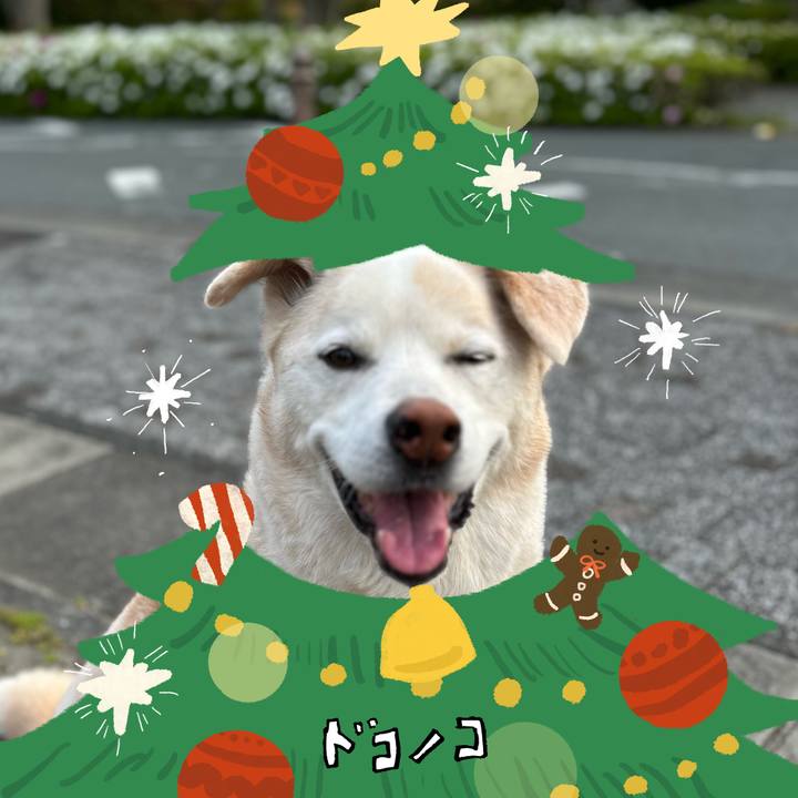 18995a88 8040 49fa 985c 0ea261434a93 1761231198606