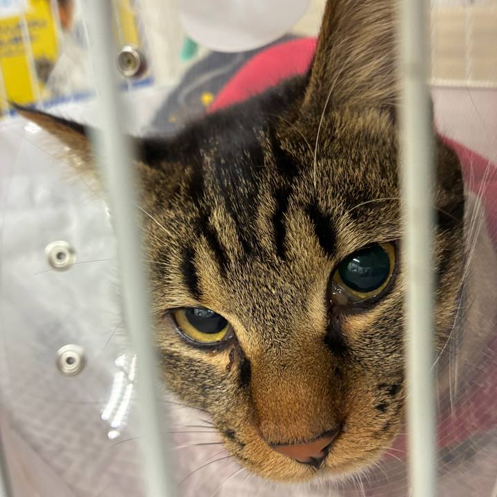 1899a21f 97bb 4a35 a6b6 d8b6e1b18f2b 1761727006411