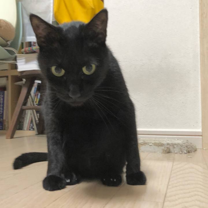 1899a541 a9de 4c8f 885e 3743b719482f 1631969298515