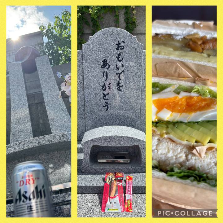 189a2599 d760 4ae5 88b2 f624f606631f 1758426888595