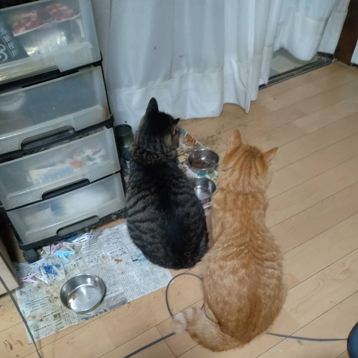 189a4535 e42f 4442 bd41 8c696d61d7d8 1695883153782