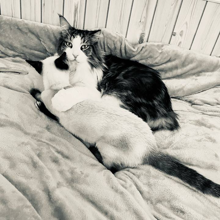 189a7c40 35bc 43ae 844e d0a97b54ed07 1700893976704