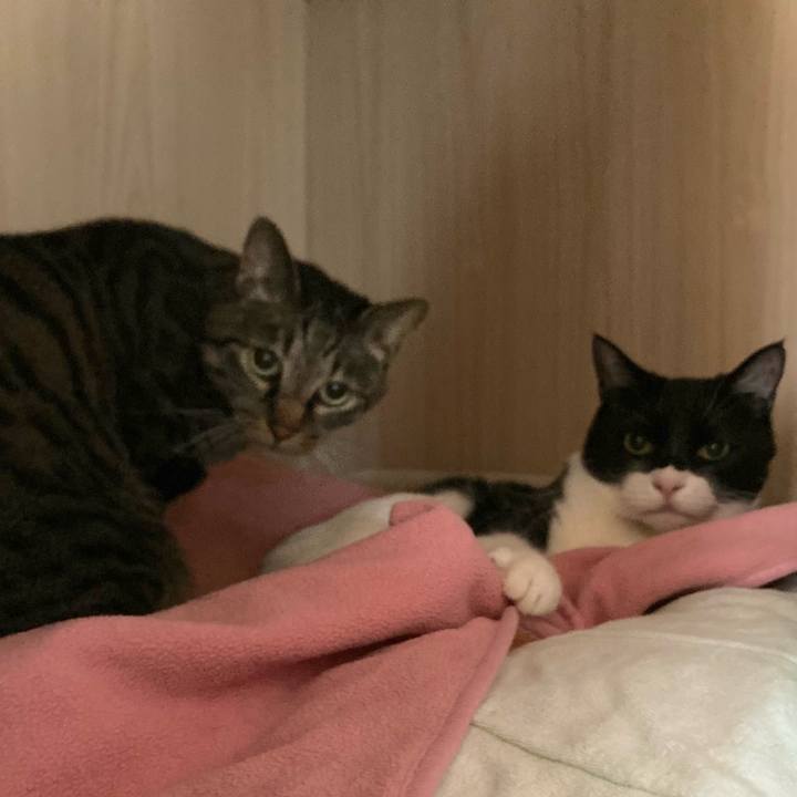 189a82e3 864d 4b15 bd4b 2650167443fe 1649996510567