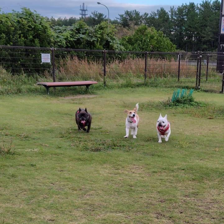 189a9722 37cd 4cec aae9 b7d35393fa8a 1730553394225