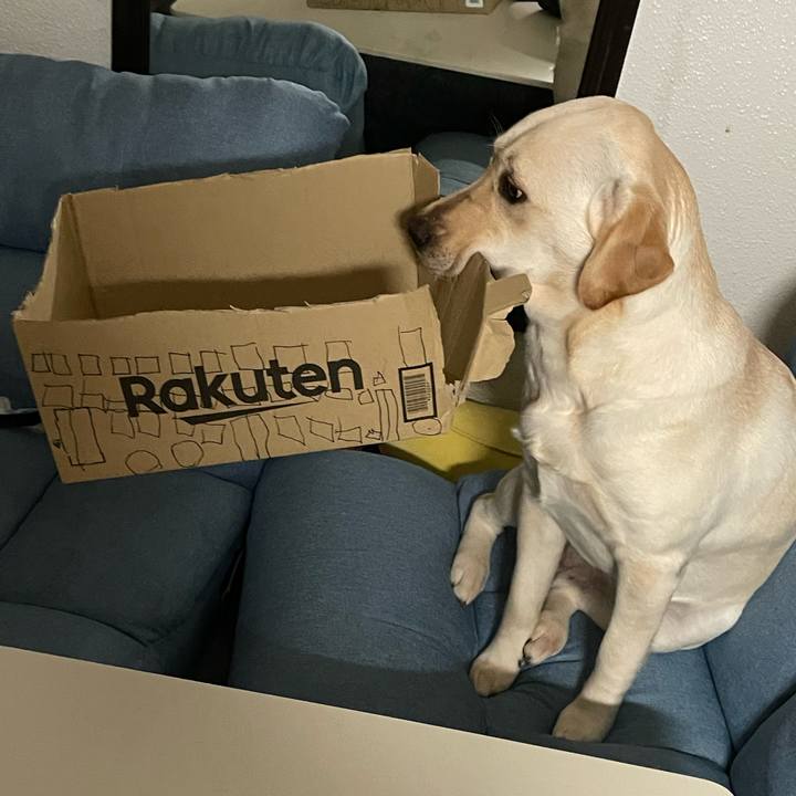 189a9829 feac 43d4 895e a0e962cec68f 1643838225021