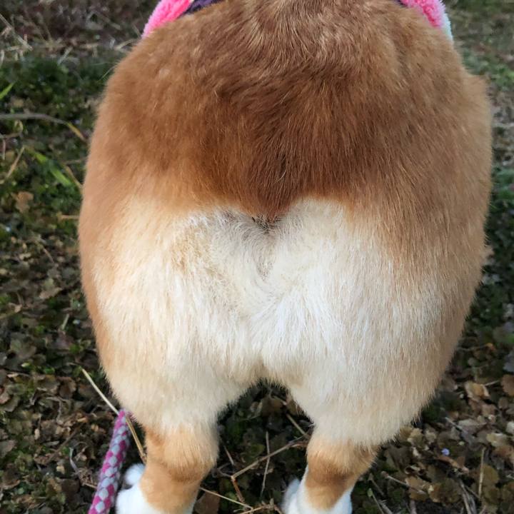 189adb78 34c8 4ee8 9705 3971a0a53ebc 1707914183900