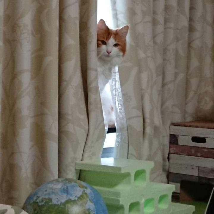 189b8bfa 5d26 4b9e a25a 64fc8947a4c3 1572562889270