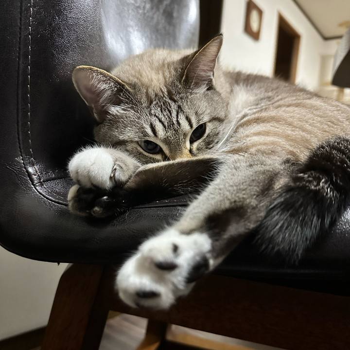 189c0842 1baf 4b32 927b 8d953ea3d3f7 1668430496119