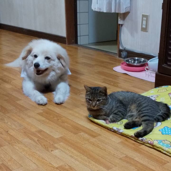 189c1e92 c63e 48ad a12a c7496abd3989 1565608912537