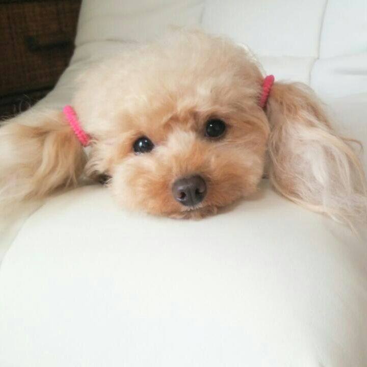 189c6ecc a4b2 48da 8531 a46451215916 1543314720277