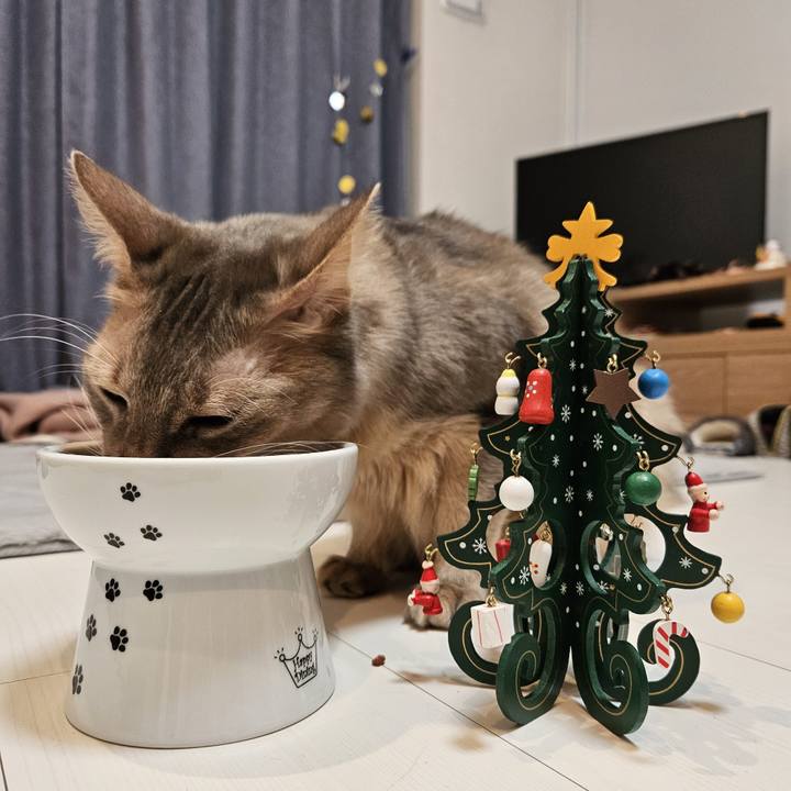 189c8884 bea1 47ba 921f abaf6d94fdc9 1703413691655