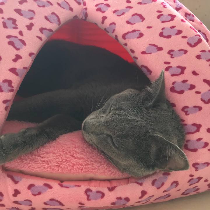 189c9e67 06e7 4006 a082 2f8294bb93eb 1509505751092