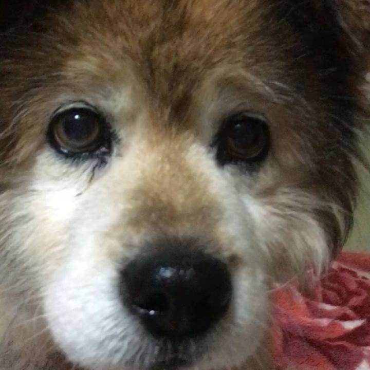 189caa9b fee3 42eb 9c91 6127fa3af0d1 1599974960108