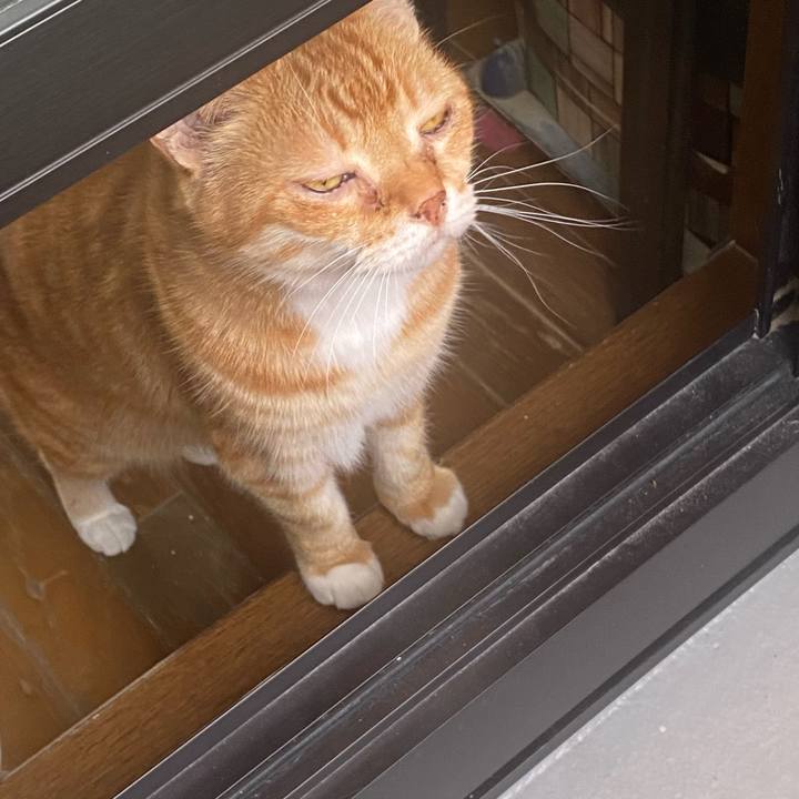 189cd011 79a6 4567 a06f 2264416c2bf9 1620440379164