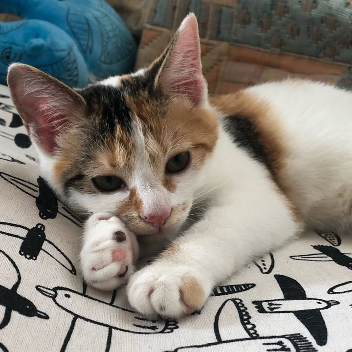 189cd2fd e696 451e adba 90c89c8f8e52 1566624638341