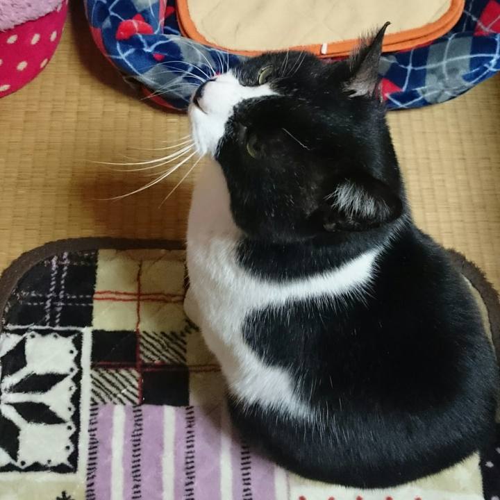 189d031e 80d3 4808 b30e 051654db230a 1518492775661