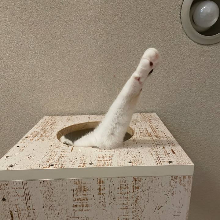 189d0f13 f563 44f6 8b9e f02c3bce36bb 1757423158320