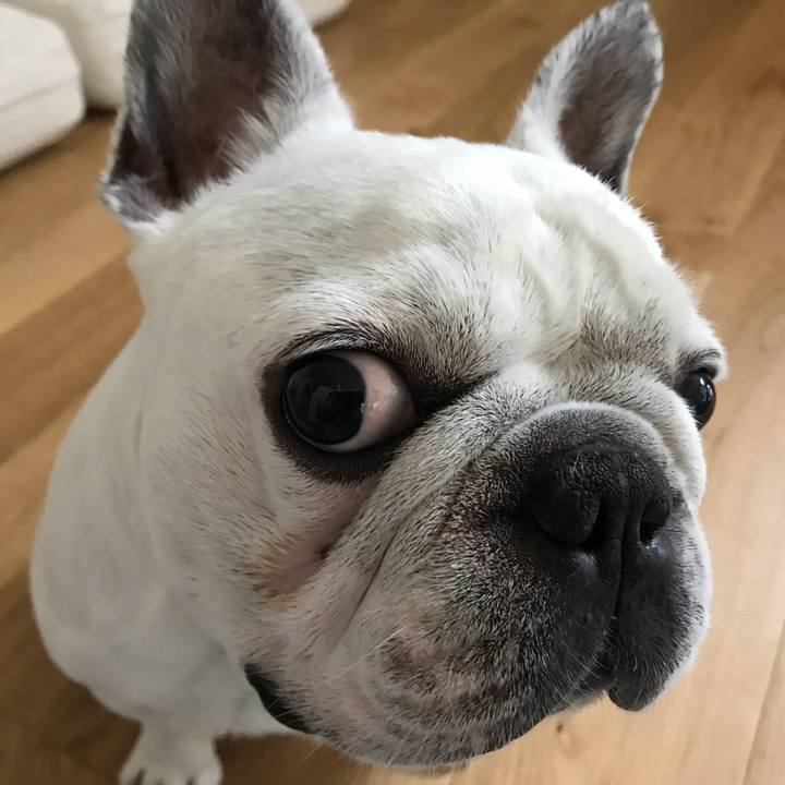 189d22ee 65b5 44f6 bfd0 27494b68b219 1599175698683