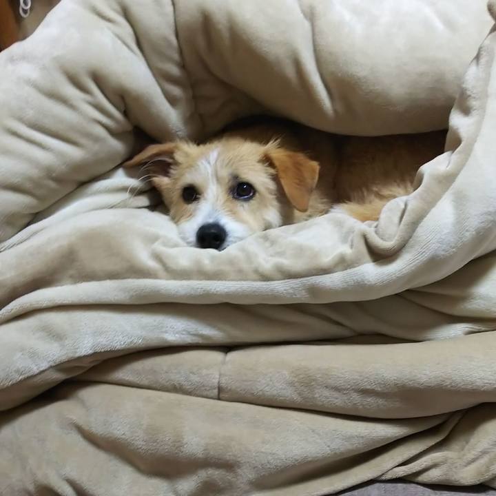 189d2852 d76b 4548 9bdf 2241a5e5a03b 1556022330498