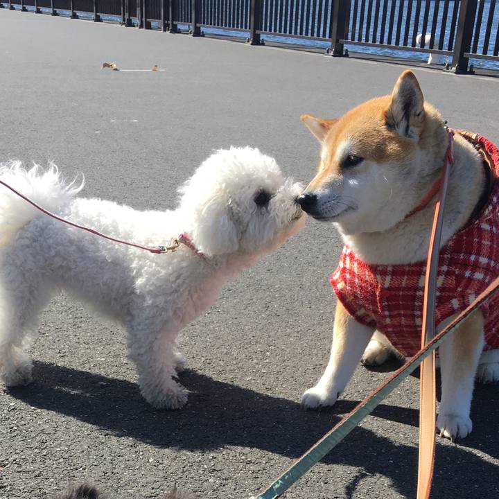 189d39fa 1965 4636 80da 6ef962663075 1588309196978