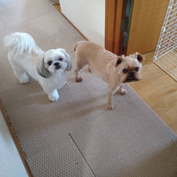 189d6098 66f0 4feb bbd6 0e62f424d130 1623370721513