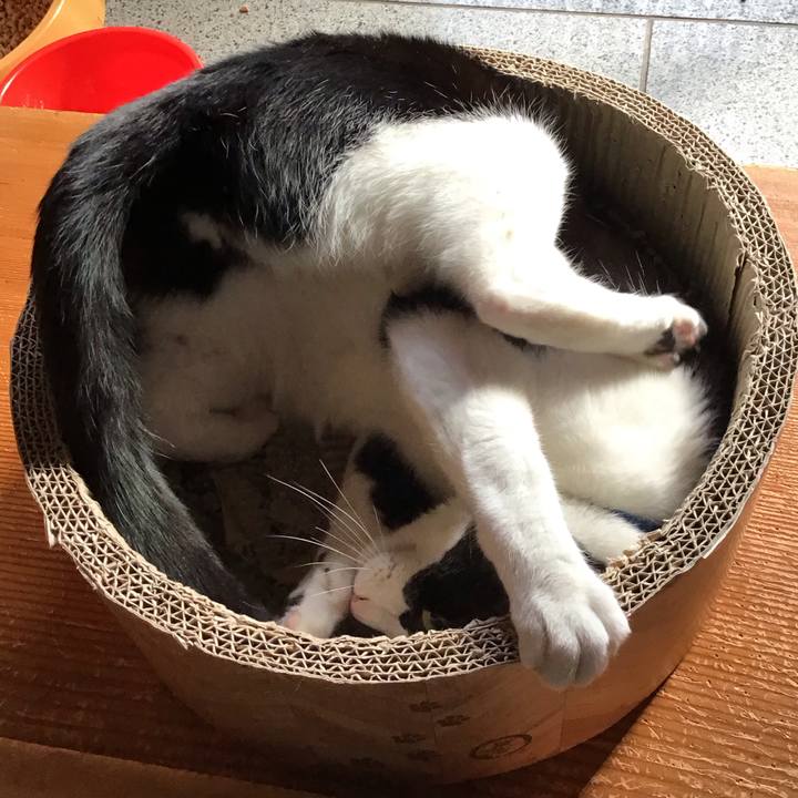 189d6cab 4355 4160 a10d 4e6d5c4ec17f 1708763480637