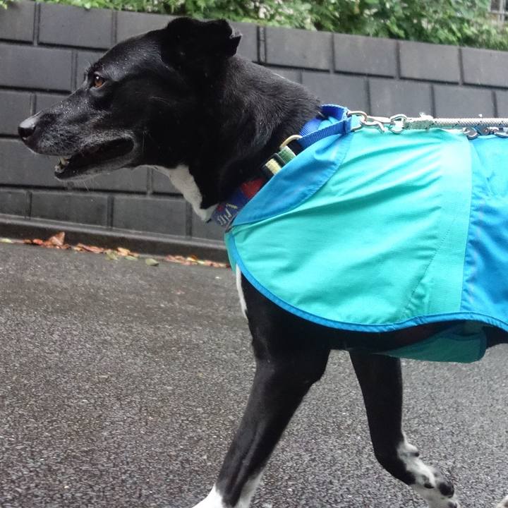 189d82be 4c52 406b 8ecb f634dcc74bf0 1696808998762