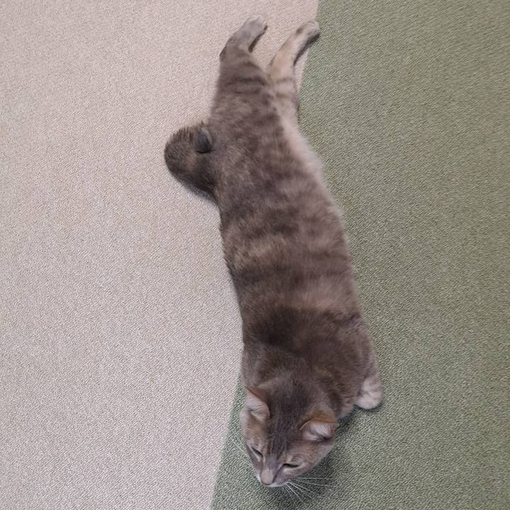 189dd516 4dea 4e89 97cf 806e8ed4a2de 1584228844571