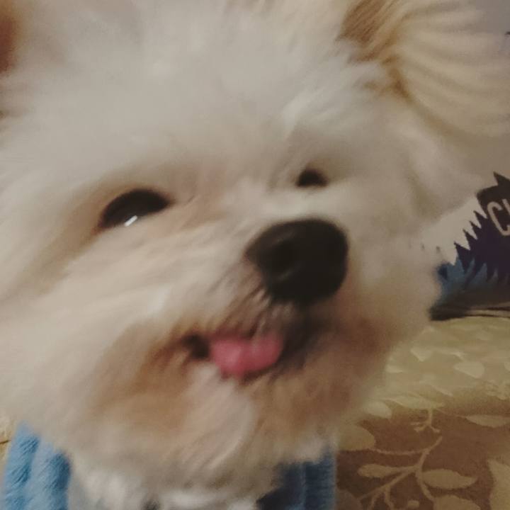 189dd99c 27bf 42af 96ac 86a3f0eaf2ac 1516164729476