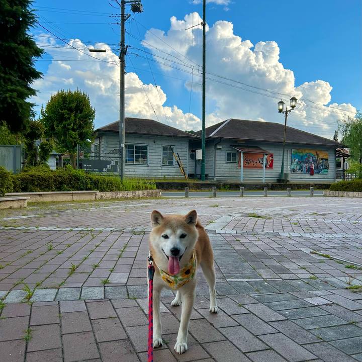 189de43d 8240 40b8 87cc eeed16a8f2fd 1752143155630