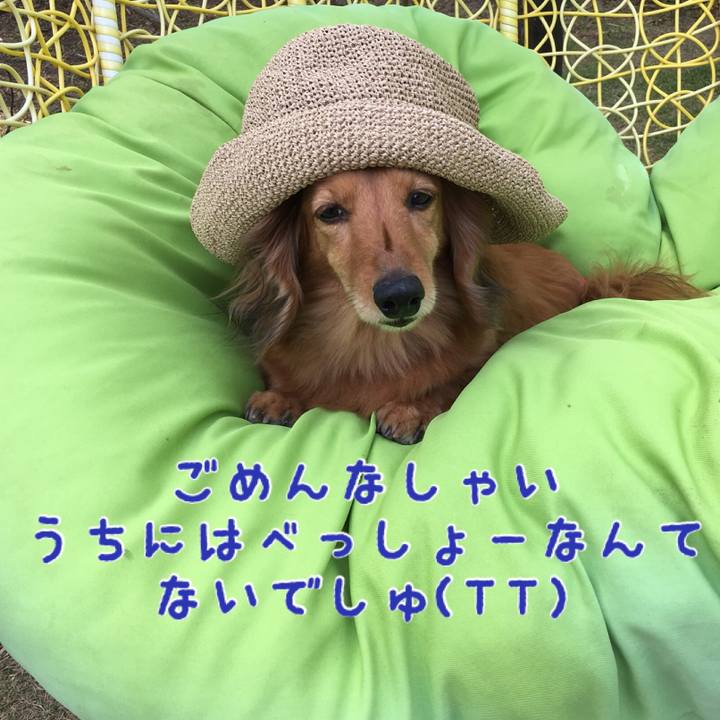 189df660 9691 49a6 b9a3 5d8acff80114 1525311151214