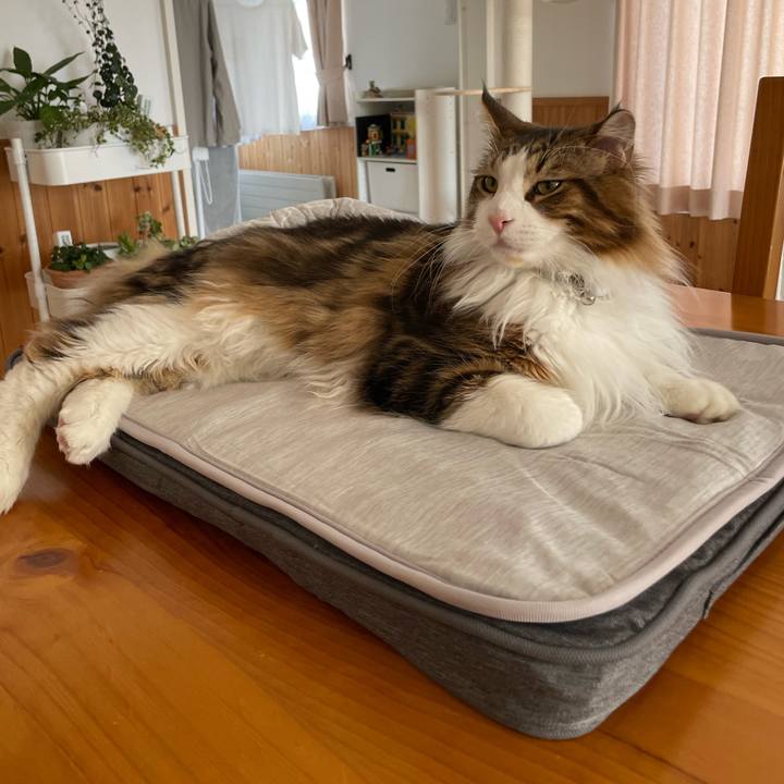 189e142f d4b7 453d 9898 0c19e6f9bcb8 1652519723433