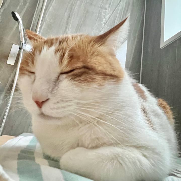 189e28fb 01ec 4eb7 94f8 376d6f826a90 1769818008108