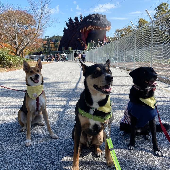 189e5d98 3c31 4386 91b9 d052c8ad278d 1605444774077