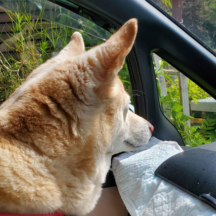 189e6212 6a8b 47fd 8f2e ef21db795bcd 1597199071103