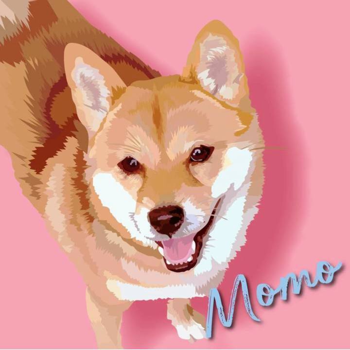 189e65b5 0d55 4fef 8dcf 05d7a7a82f41 1659009190395