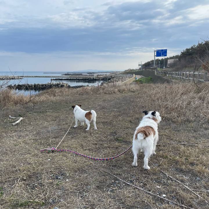 189e7133 63e0 44d0 963c 2b5d95aaea98 1743908263451