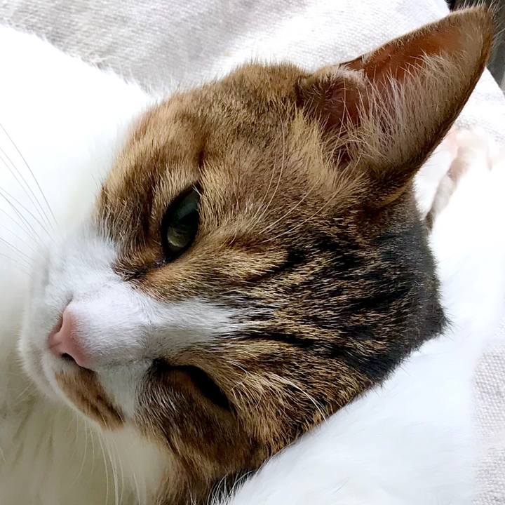 189e73ec 41f2 4428 addd b51a32e95f7f 1540433631412