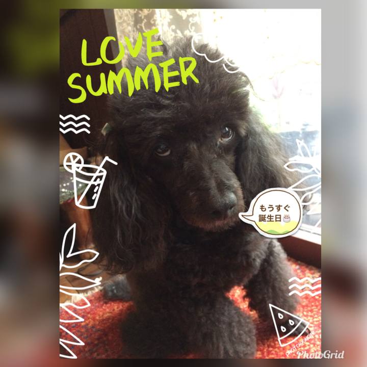 189e8c51 ddd9 4851 a3f4 dd2a8a9e5728 1533942860344