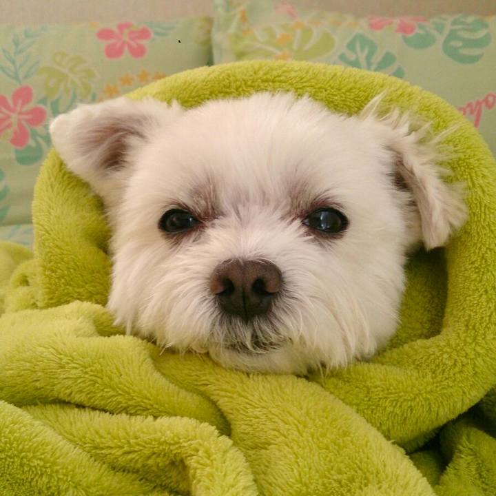 189e8f75 fb96 4980 a21d 5e7595cb156c 1510691059266