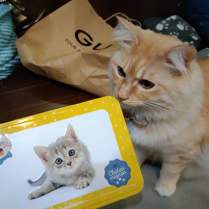 189e9934 d7ce 4bf2 abb7 e711b071c3e9 1701352950030