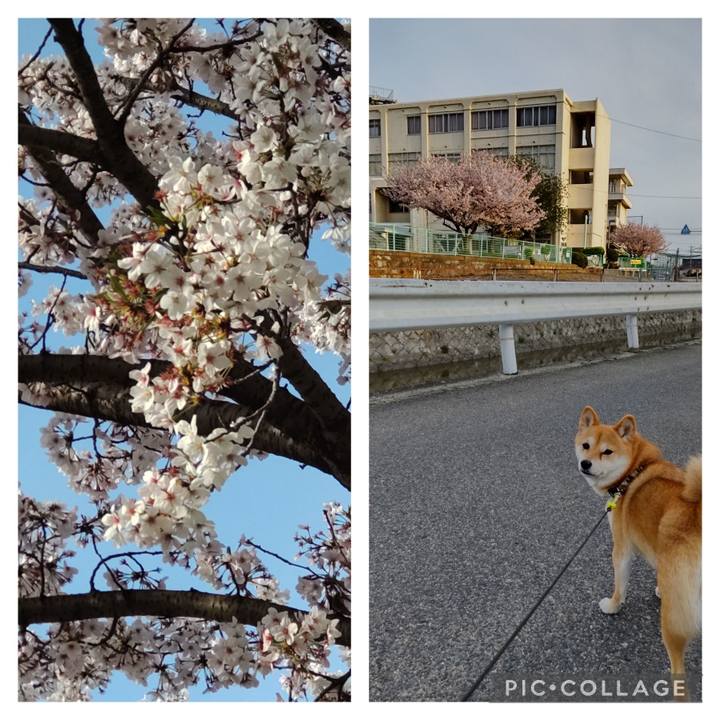 189eb404 e641 441c 8bea a930108d9be2 1712788721580