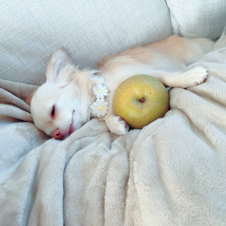 189ebbff cdca 44a0 ab43 ad8d656defcb 1691054885186